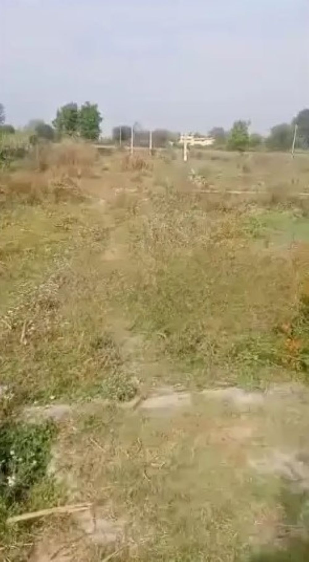 Plot For Resale in Kumrah Bareilly  7862444