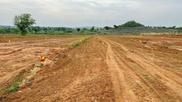 Plot For Resale in Jangaon Hyderabad  7862562