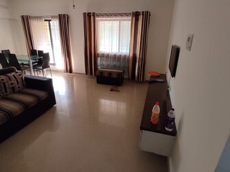 2.5 BHK Apartment For Rent in Sana Paradise Apartment Wakad Pune  7863011