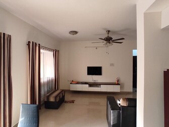 2.5 BHK Apartment For Rent in Sana Paradise Apartment Wakad Pune  7863011