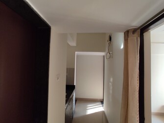 2.5 BHK Apartment For Rent in Sana Paradise Apartment Wakad Pune  7863011