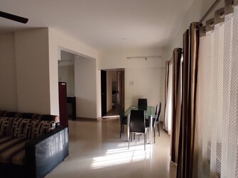 2.5 BHK Apartment For Rent in Sana Paradise Apartment Wakad Pune  7863011