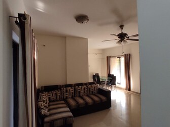 2.5 BHK Apartment For Rent in Sana Paradise Apartment Wakad Pune  7863011