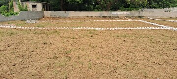 Plot Area in  Plot at Bihta – for Sale