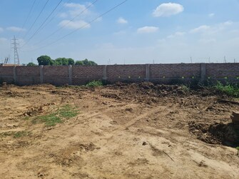 Plot For Resale in Painal Patna  7863081