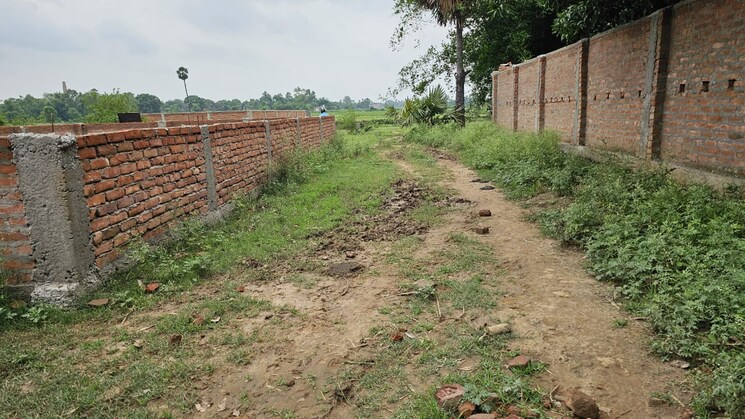 undefined, sampatchak  1200 Sq.Ft. Plot In Sampatchak Patna 7863097