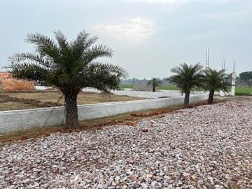  Plot For Sale in Jewar