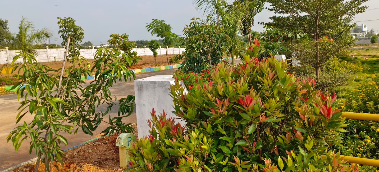 Plot For Sale in Yuva Park