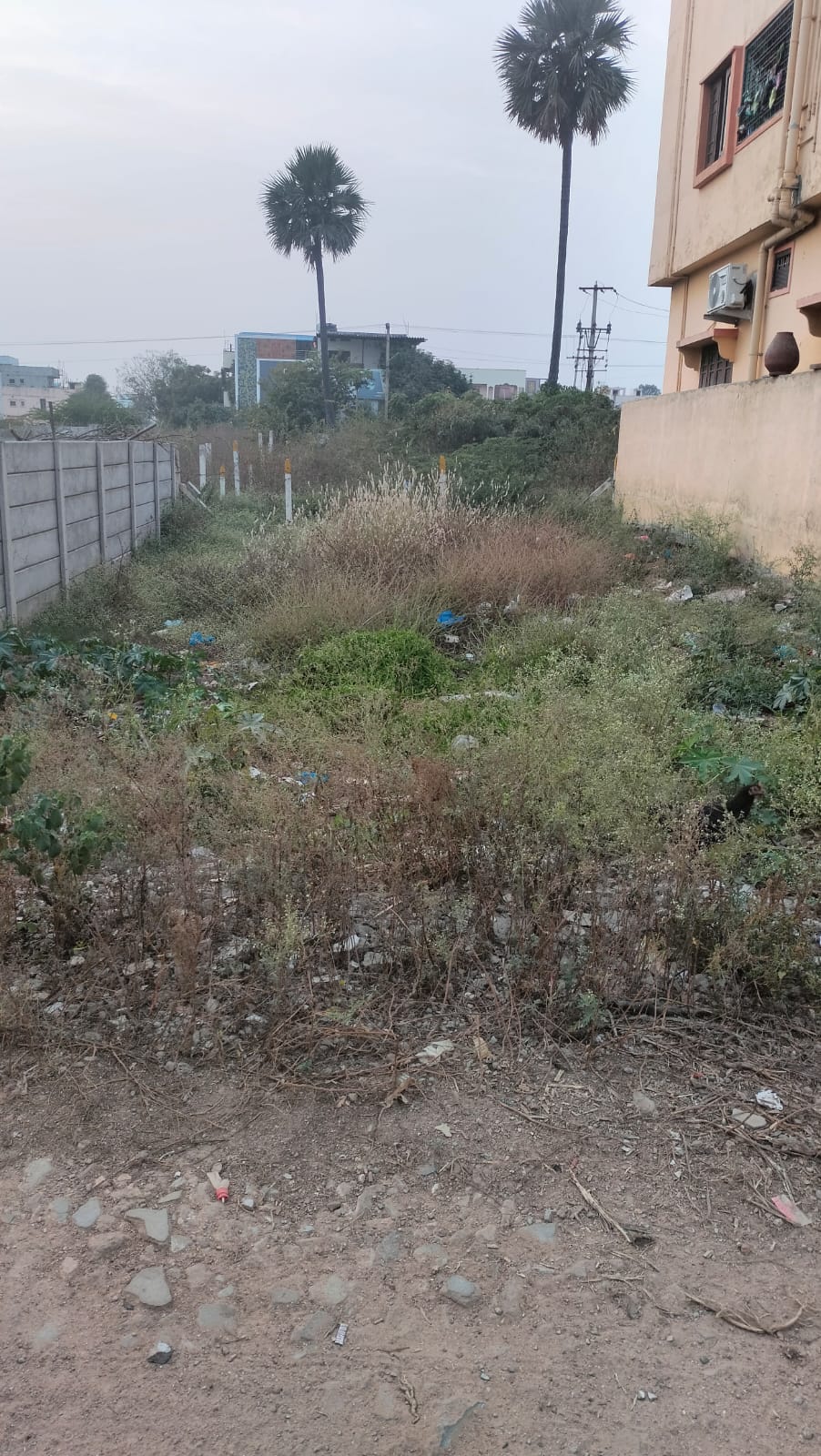 Plot For Sale in Hanuman Real Estates 