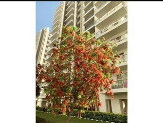 3 BHK Apartment For Resale in Microtek Greenburg Sector 86 Gurgaon  7863841