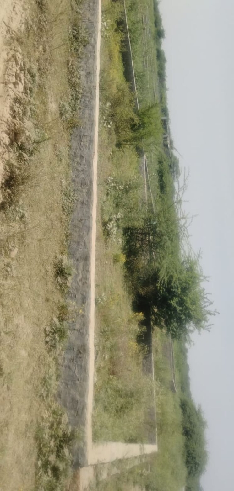 Garden, sector 148  84 Sq.Yd. Plot In Sector 148 Noida 7863971