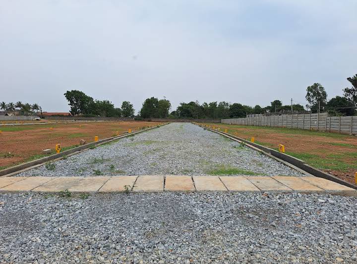 Plot For Resale in Dodda Aalada Mara Road Bangalore  7864087