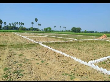Plot Area in  Plot at Rajapur – for Sale