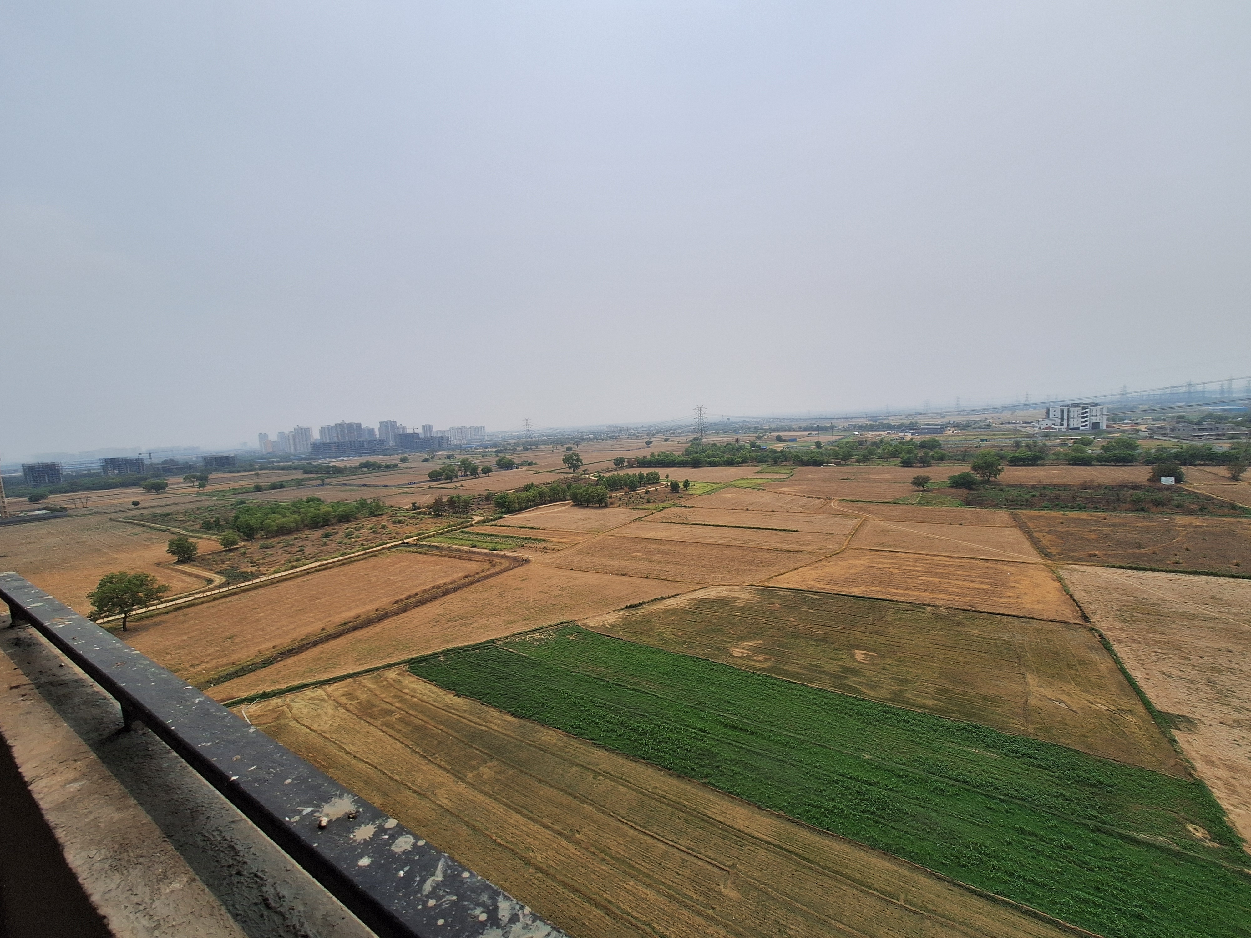 1 BHK 421 Sq.Ft. Apartment in Signature Global Grand Iva