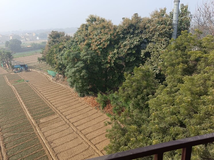 Garden, madhuban-enclave  50 Sq.Yd. Plot In Khera Dhrampura Greater Noida 7864523