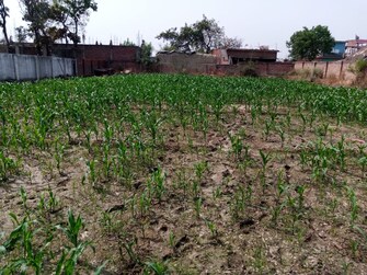 Plot For Rent in Tindola Barabanki  7865079