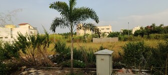 Plot For Resale in Ravanbhatha Raipur  7865193