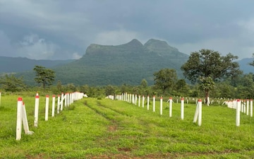 Plot For Sale in Vindhane