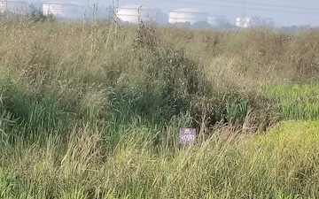 Plot For Sale in Vindhane