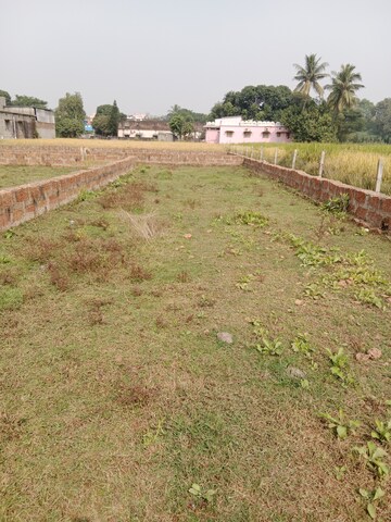 Plot Area in  Plot at Pratap Nagari – for Sale