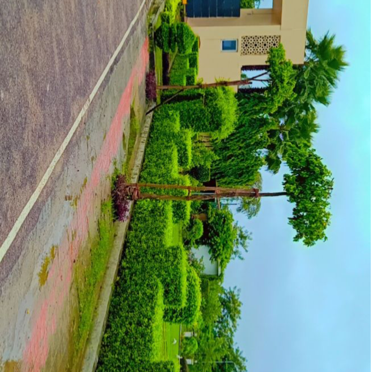 Garden, wing-lucknow-greens-plots  1500 Sq.Ft. Plot In Arjunganj Lucknow 7865963