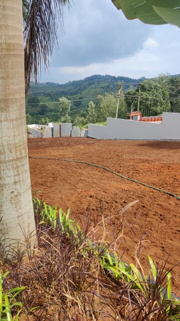 Plot For Resale in Yercaud Salem  7420487