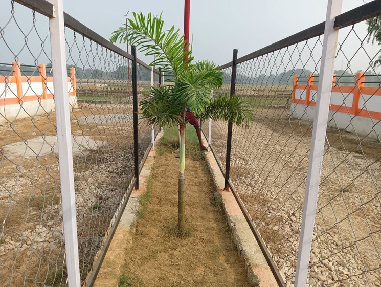 Exterior View, sultanpur road  1000 Sq.Ft. Plot In Sultanpur Road Lucknow 7866125