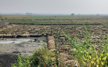 Plot For Sale in Vindhane
