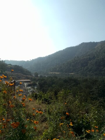 Plot Area in  Plot at Raipur – for Sale