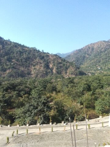 Plot Area in  Plot at Raipur – for Sale