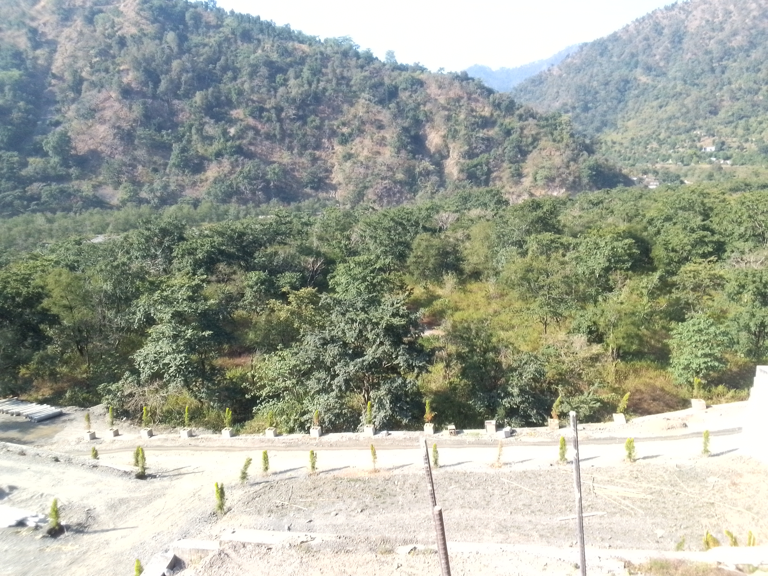 Plot For Sale in Thano Green 