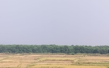 Plot For Sale in Vindhane