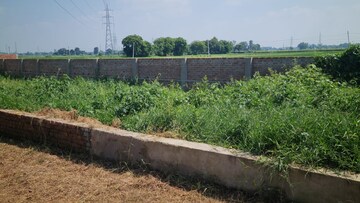  Plot – Exterior View View at Bihta - for Sale