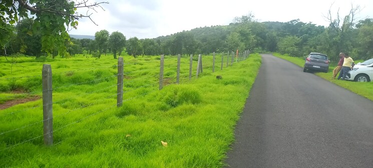 Garden, mangaon  20000 Sq.Ft. Plot In Mangaon Raigad 7866490