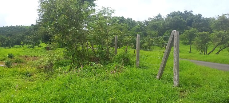 Garden, mangaon  20000 Sq.Ft. Plot In Mangaon Raigad 7866490