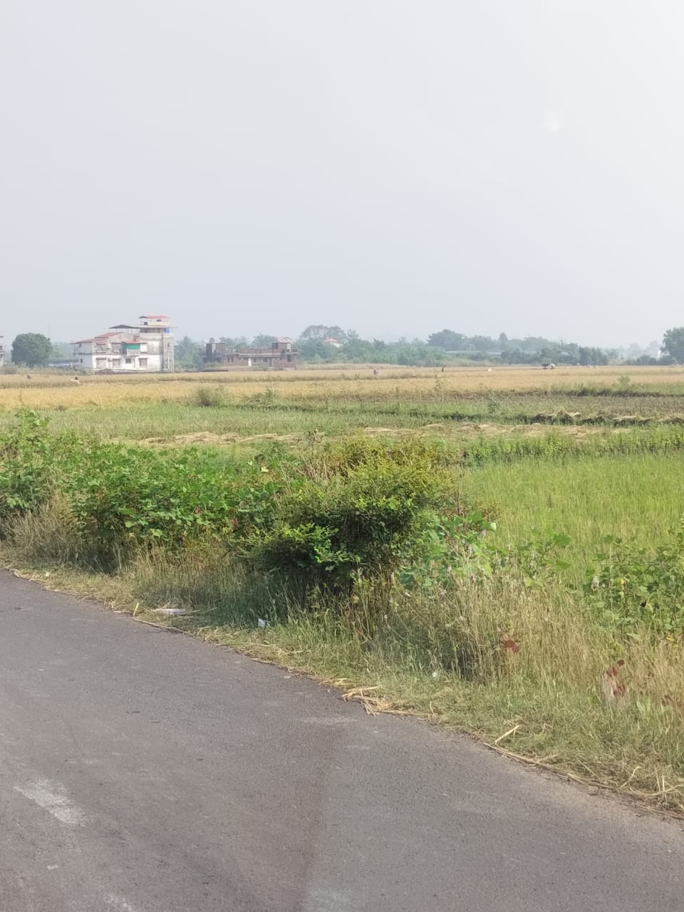 Plot For Sale in Vindhane