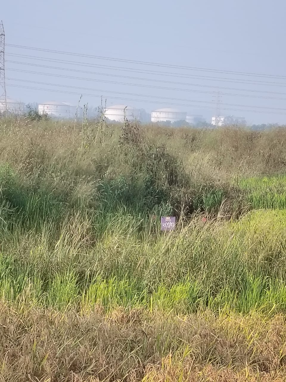 Plot For Sale in Vindhane