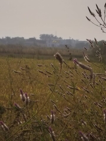  Plot For Sale in Vindhane