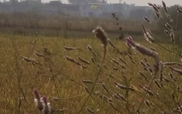 Plot For Sale in Vindhane