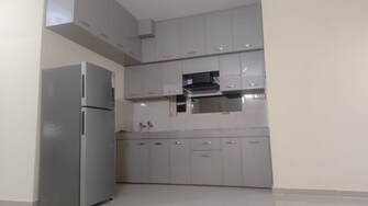 3 BHK Apartment For Rent in Tulip Orange Sector 70 Gurgaon  7867362