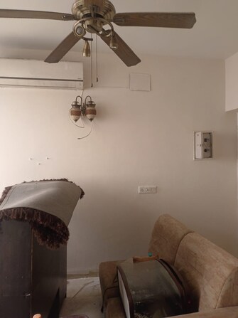 3 BHK Apartment For Rent in Tulip Orange Sector 70 Gurgaon  7867362