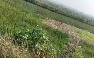 Plot For Sale in Chirle