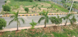 Plot For Resale in Siri Mahagiri Golden Hills Munganoor Hyderabad  7868333