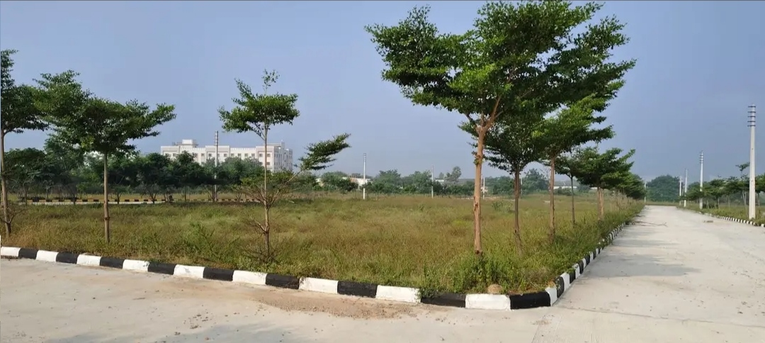 Plot For Resale in Pedda Amberpet Hyderabad  7868435