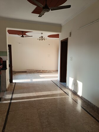 3 BHK Apartment For Rent in Amarpali Exotica Sector 50 Noida  7868534