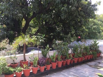 Swimming Pool in 4 BHK Builder Floor at Hauz Khas – for Sale