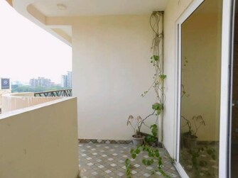 4 BHK Apartment For Resale in Saya Gold Avenue Krishna Apra Ghaziabad  7868705