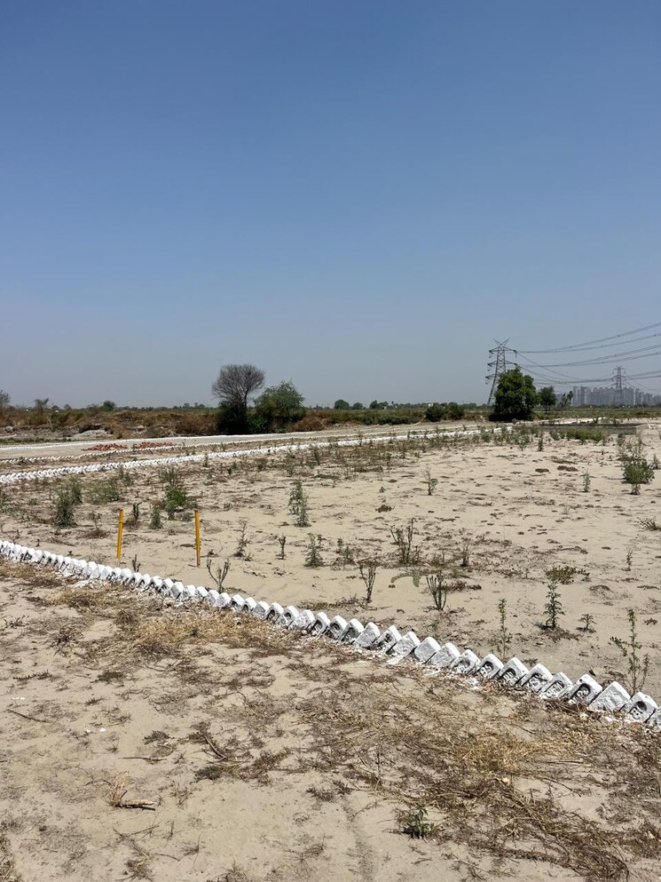 Garden, omega ii greater noida  183 Sq.Yd. Plot In Omega Ii Greater Noida Greater Noida 7868785