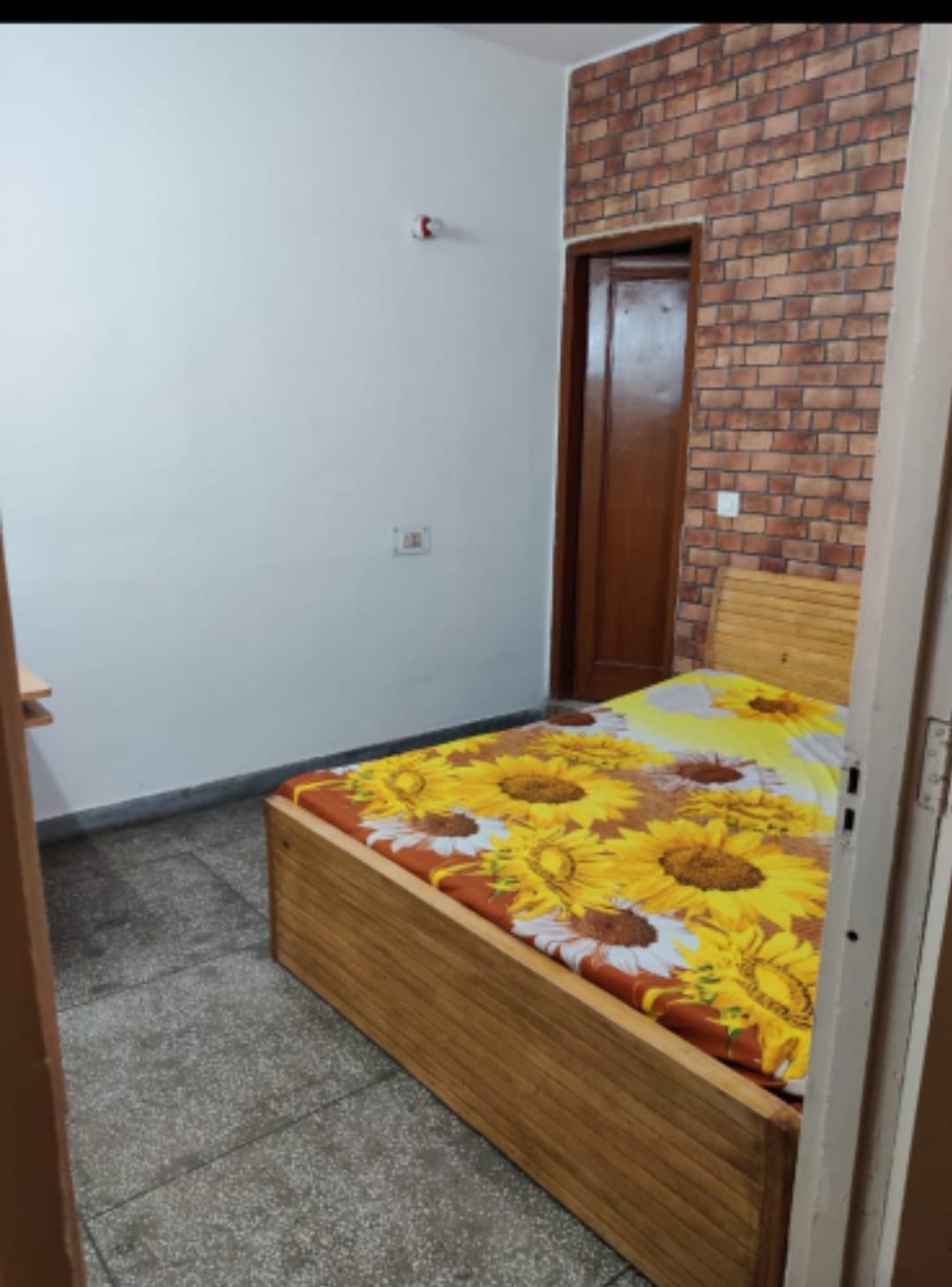 2 BHK Builder Floor For Rent in Mangla Apartments Kalkaji Kalkaji Delhi  7868819