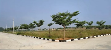 Plot For Resale in Pedda Amberpet Hyderabad  7868875